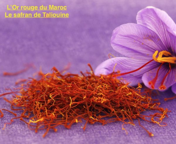 Pure Taliouine saffron